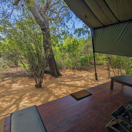 Yala Hotel Lion -Air Conditioned High Luxury Safari Camp Zewnętrze zdjęcie
