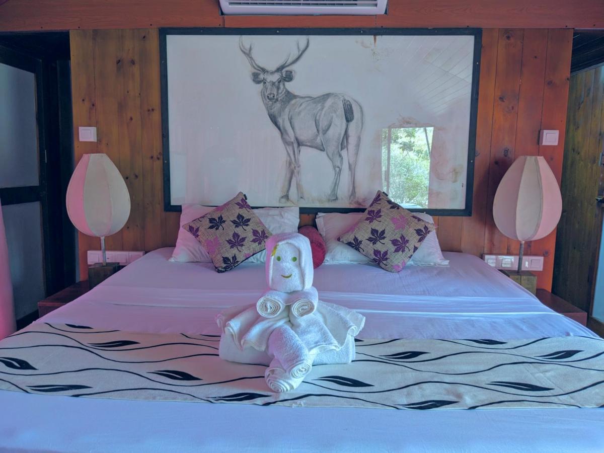 Yala Hotel Lion -Air Conditioned High Luxury Safari Camp Zewnętrze zdjęcie
