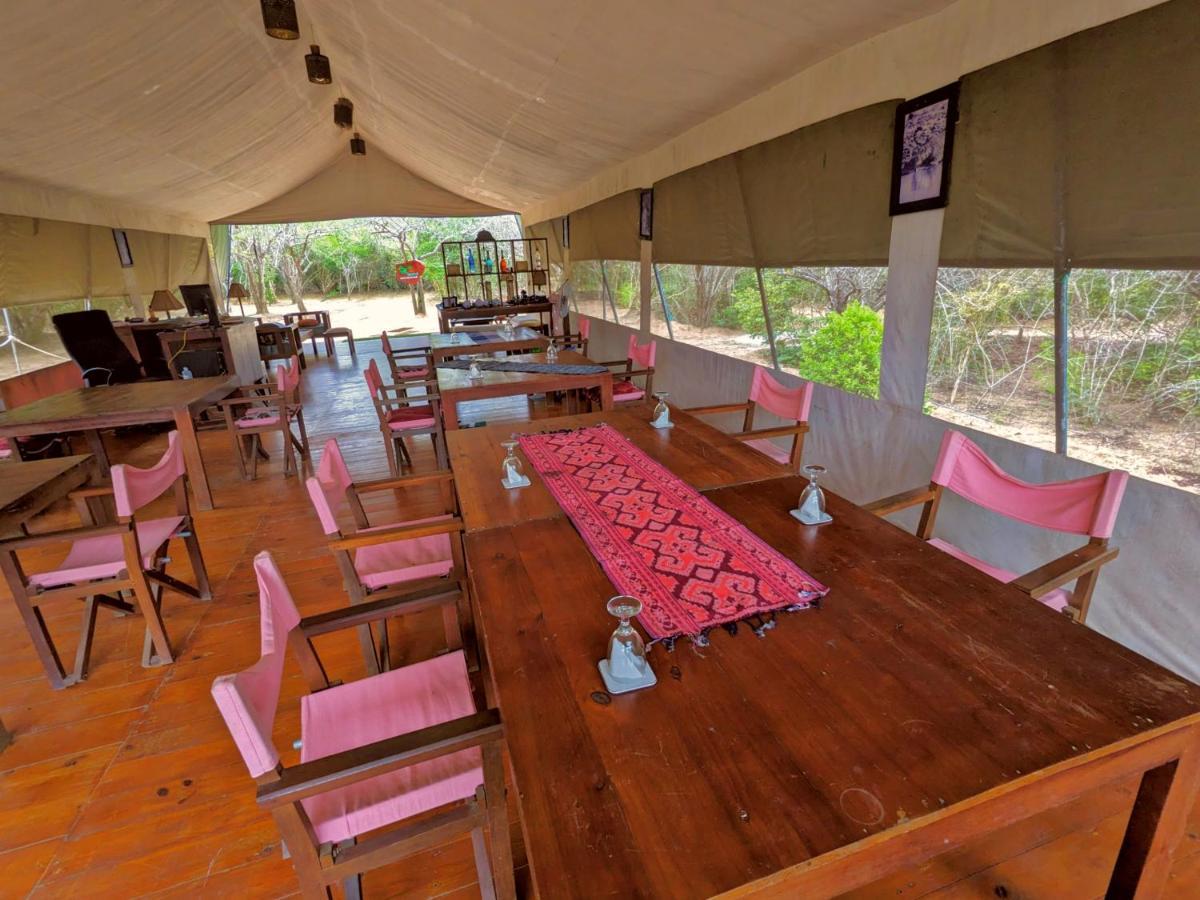 Yala Hotel Lion -Air Conditioned High Luxury Safari Camp Zewnętrze zdjęcie