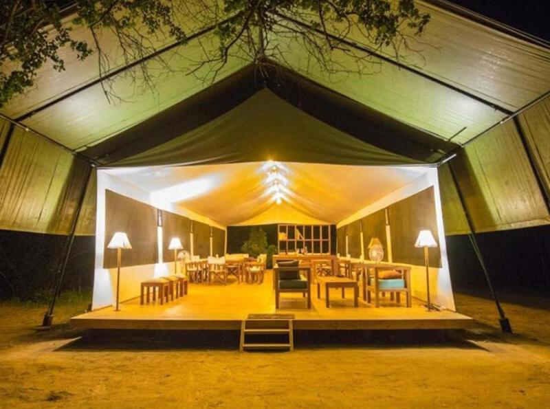 Yala Hotel Lion -Air Conditioned High Luxury Safari Camp Zewnętrze zdjęcie