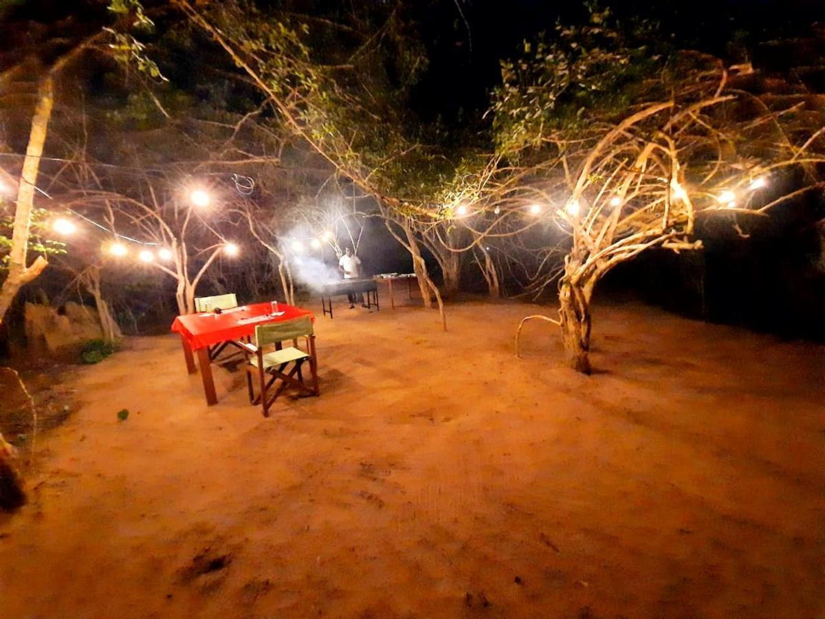 Yala Hotel Lion -Air Conditioned High Luxury Safari Camp Zewnętrze zdjęcie