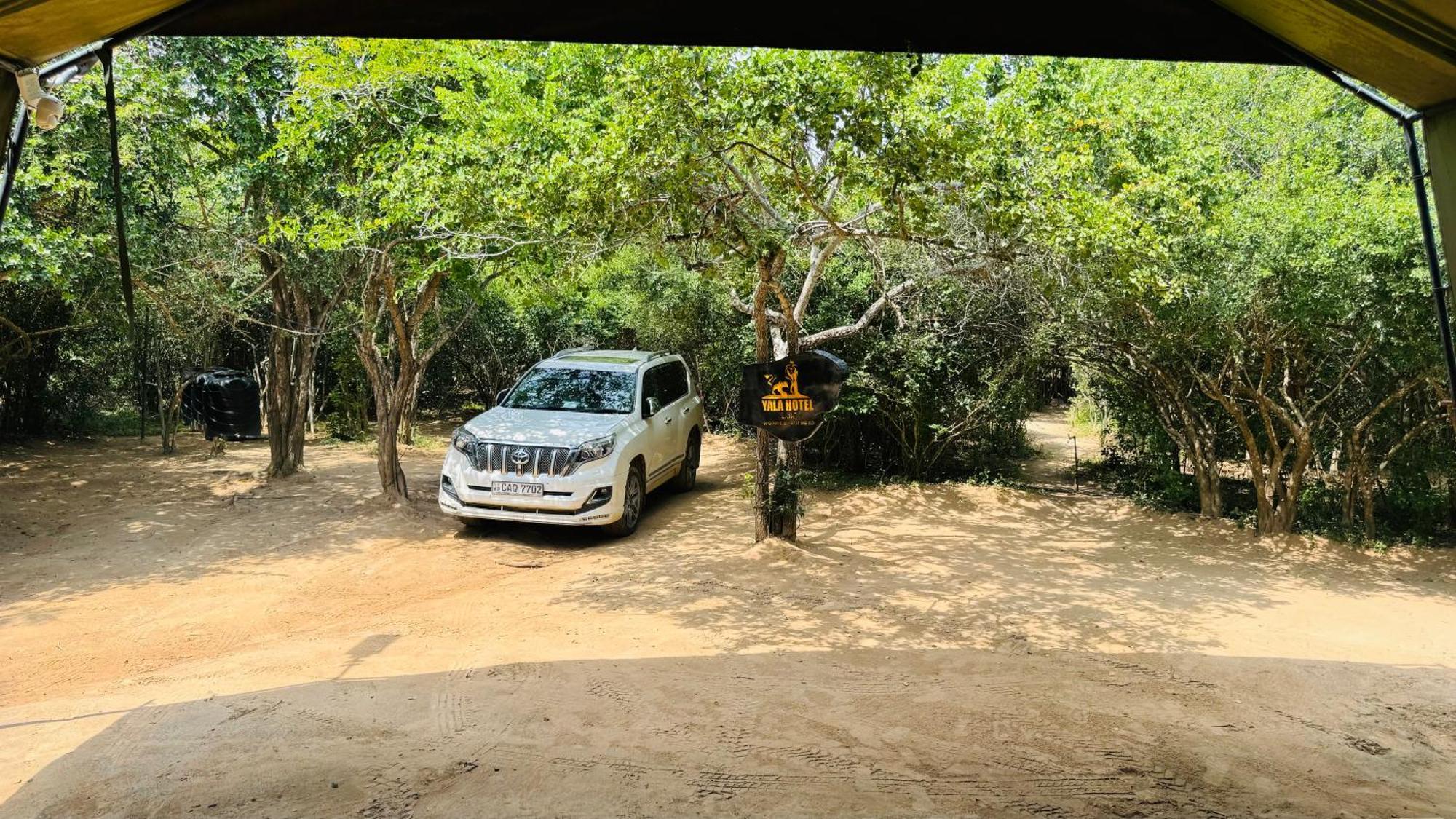 Yala Hotel Lion -Air Conditioned High Luxury Safari Camp Zewnętrze zdjęcie