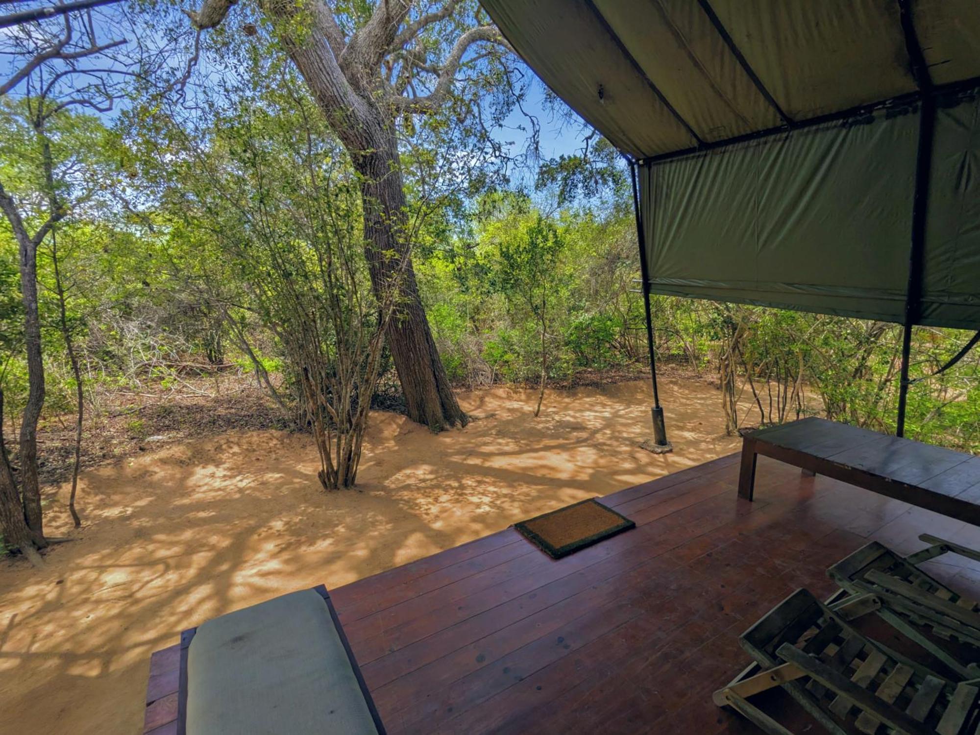 Yala Hotel Lion -Air Conditioned High Luxury Safari Camp Zewnętrze zdjęcie