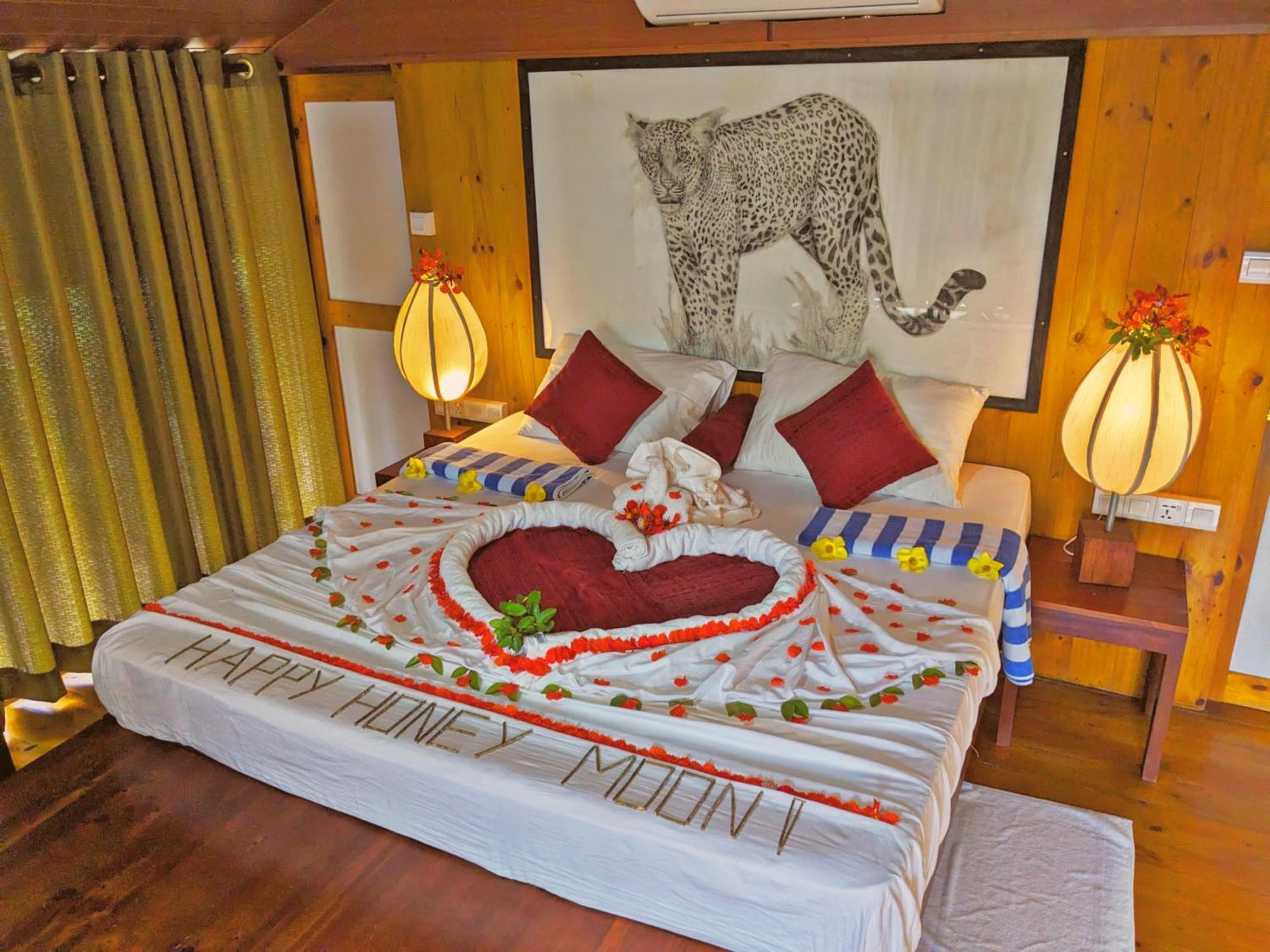 Yala Hotel Lion -Air Conditioned High Luxury Safari Camp Zewnętrze zdjęcie