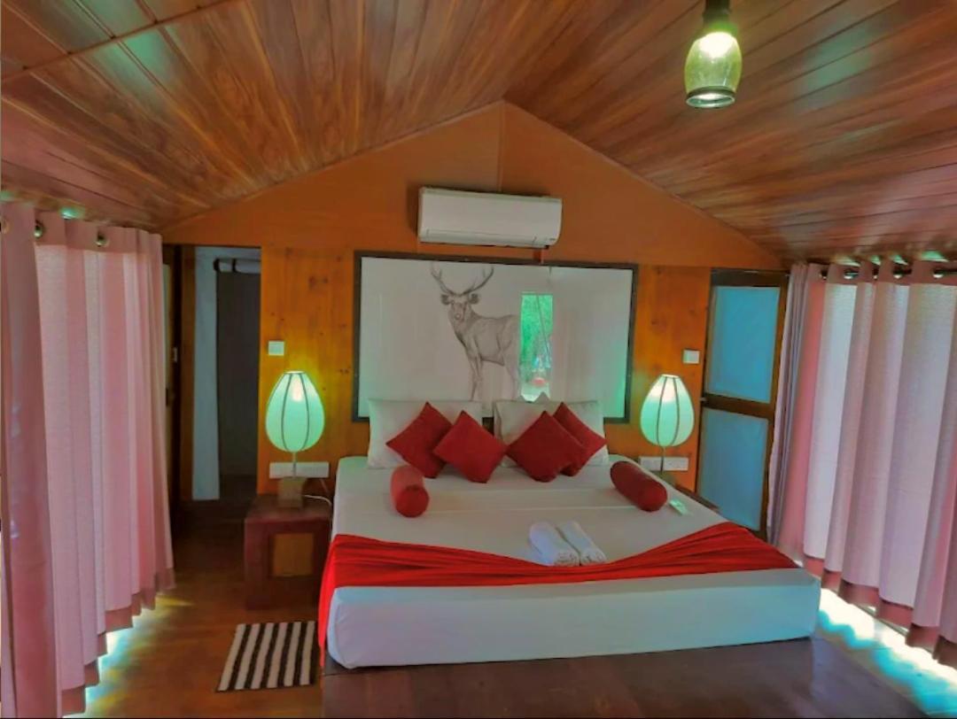 Yala Hotel Lion -Air Conditioned High Luxury Safari Camp Zewnętrze zdjęcie